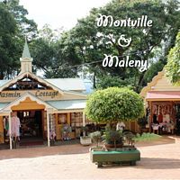 Montville & Maleny - Day Tour